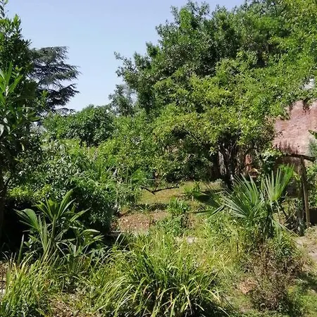 Centre Historique Apartamento *