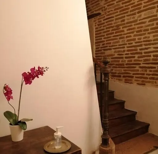 شقة Centre Historique *