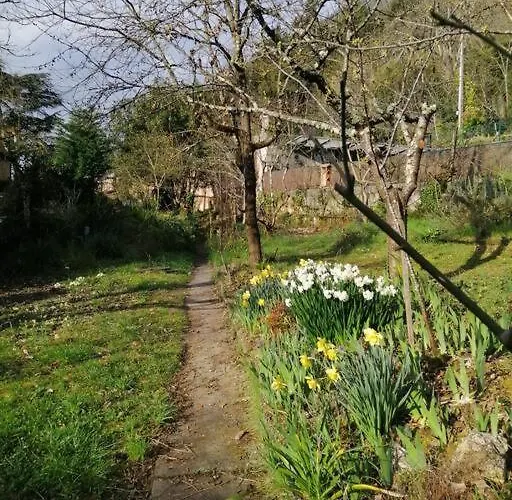 Centre Historique شقة